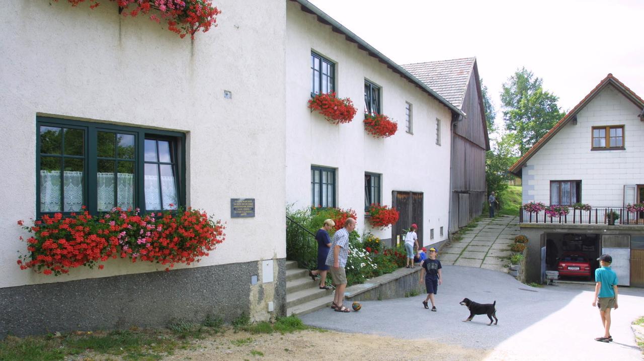 Ferienhof Stanzl Rappottenstein Extérieur photo