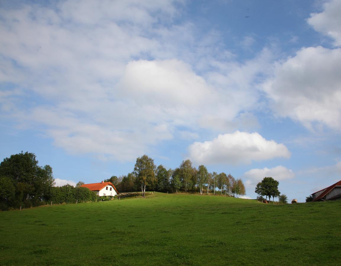 Ferienhof Stanzl Rappottenstein Extérieur photo